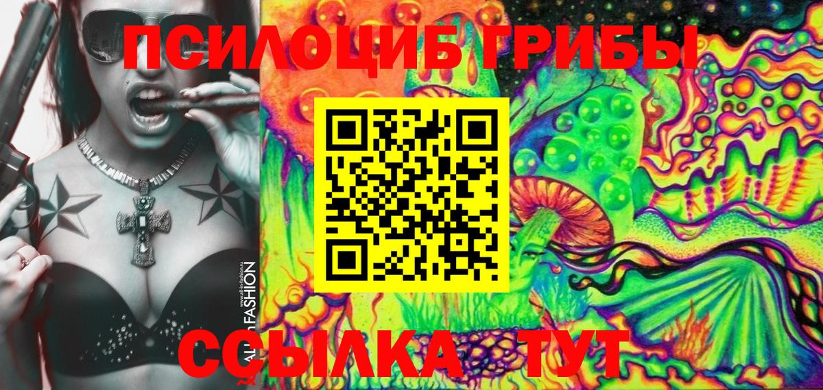 Видное  Галлюциногенные грибы Psilocybe  цена наркотик  Вход с VPN 
